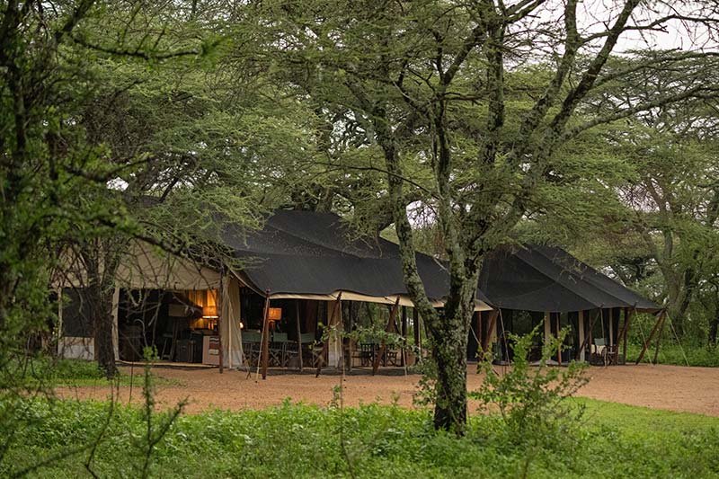 Mwiba Plains, Southern Serengeti and Mwiba
