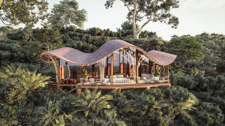 Erebero Hills, Bwindi