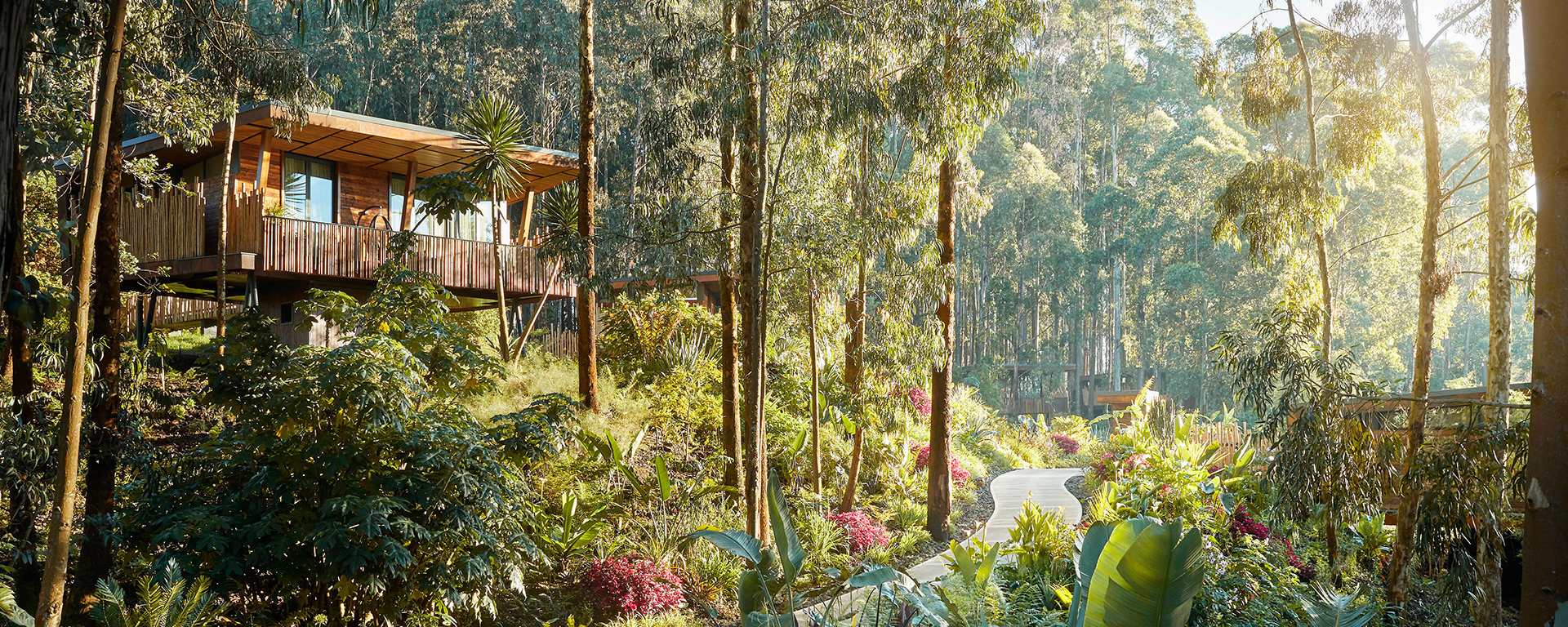 One&Only Gorilla's Nest, Volcanoes, Rwanda