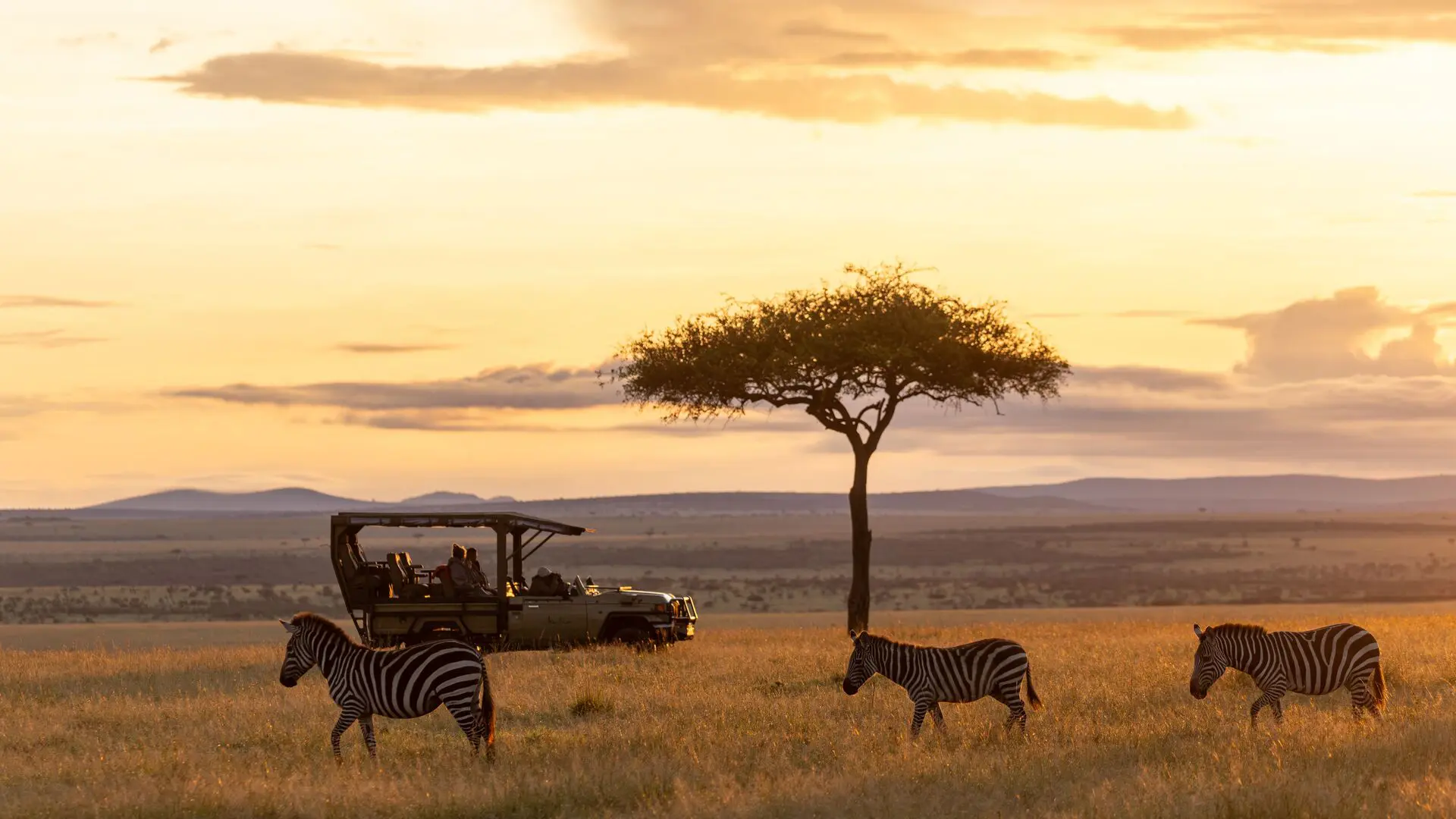 A guide and guests at a sundowner on the plains of the Maasai Mara, Kenya