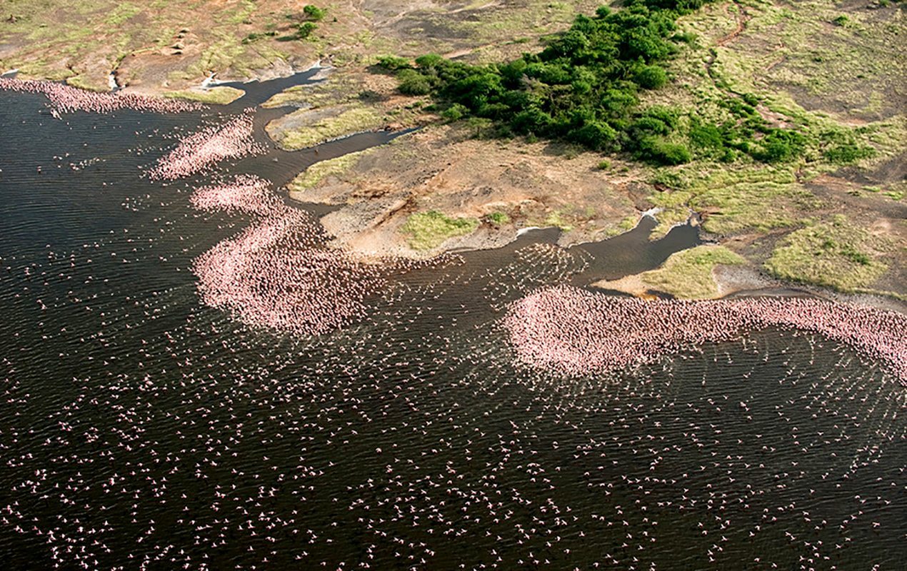 Lake Turkana from a helicopter, northern Kenya
