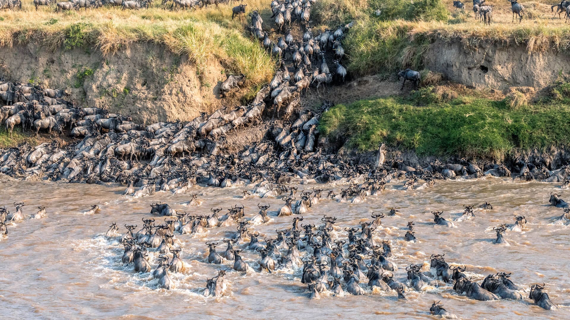 Serengeti, Tanzania