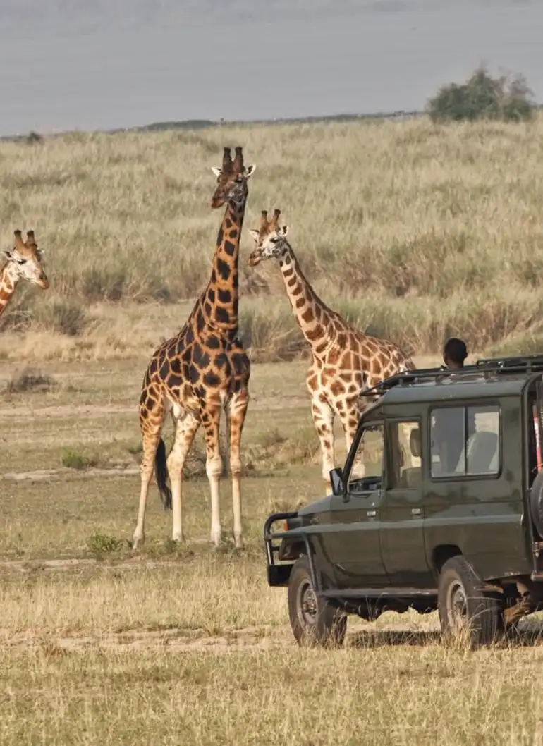 8-days-masai-mara-and-serengeti-fly-in-safari-4