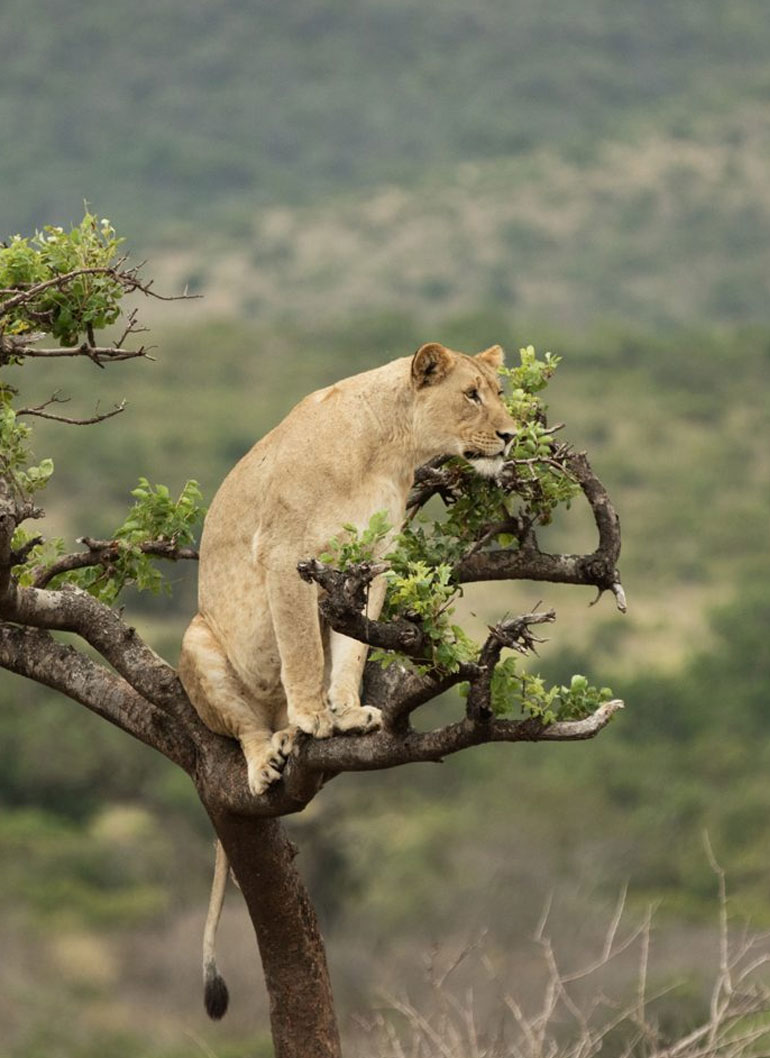 12-days-rwanda-adventure-safari-experience5