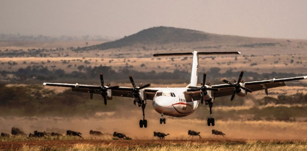 5-days-masai-mara-fly-in-luxury-safari
