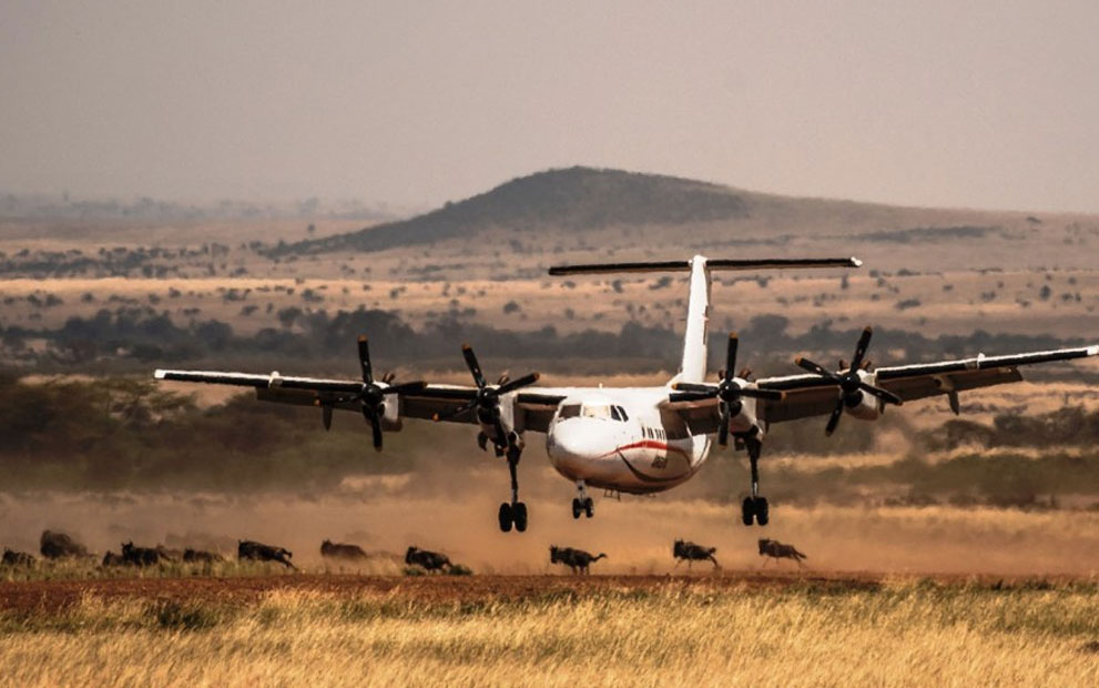 5-days-masai-mara-fly-in-luxury-safari
