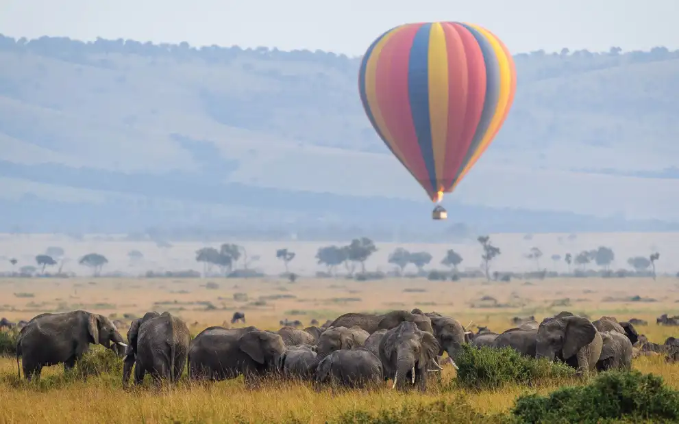 6 days amboseli masai mara fly in safari