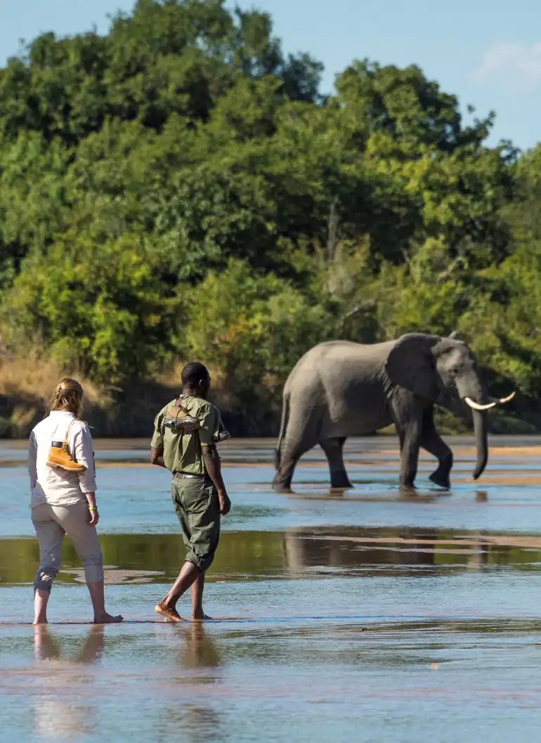 9-days-spirit-of-conservation-safari-3