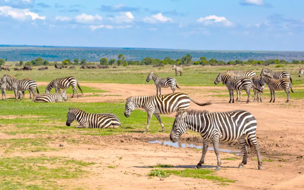 9 days spirit of conservation safari