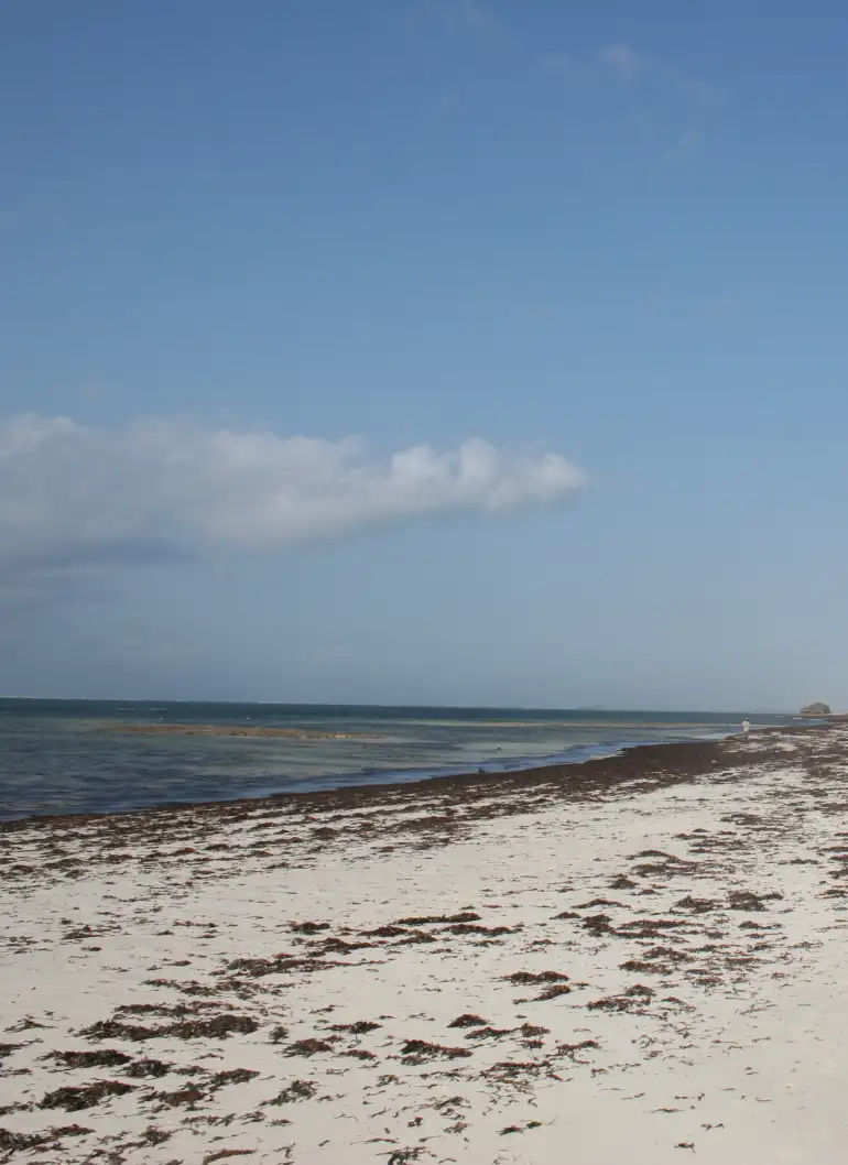 10-days-bush-and-beach-combo-4