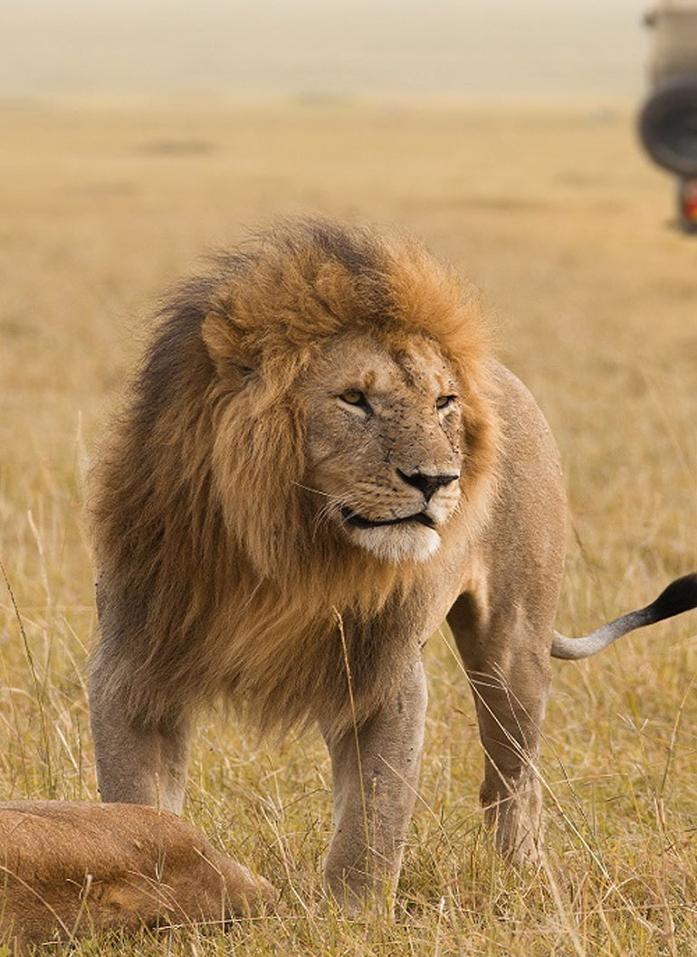 11-day-best-of-kenya-safaris6