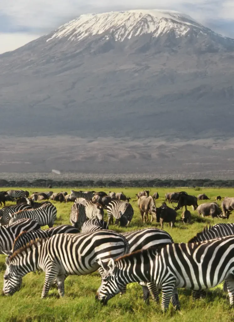 11 days taste of kenya and tanzania luxury safari 3