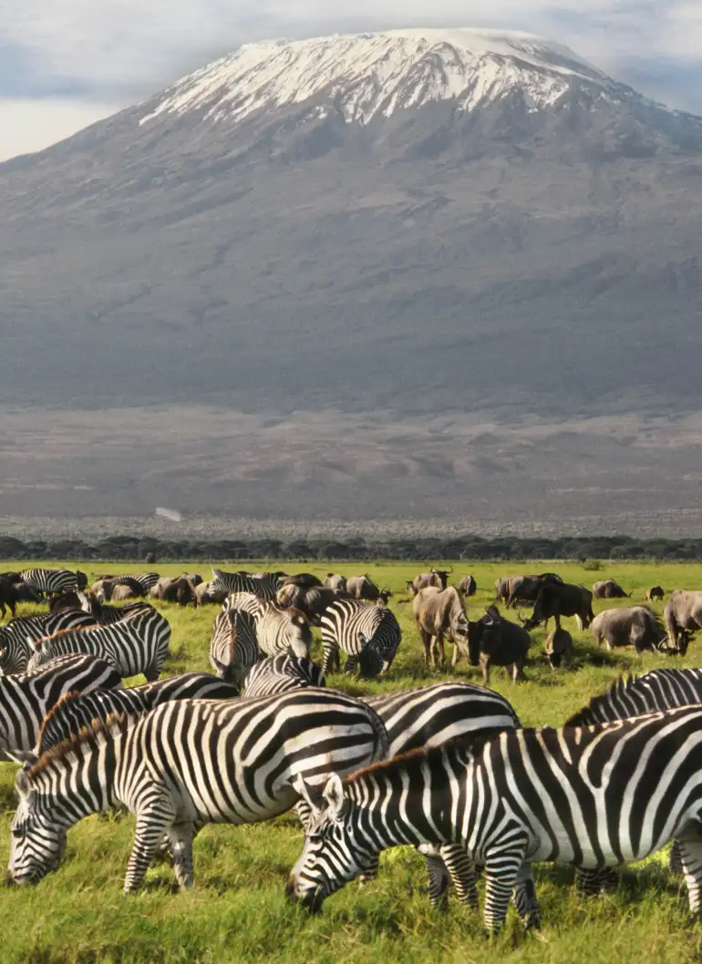 11-days-taste-of-kenya-and-tanzania-luxury-safari-3