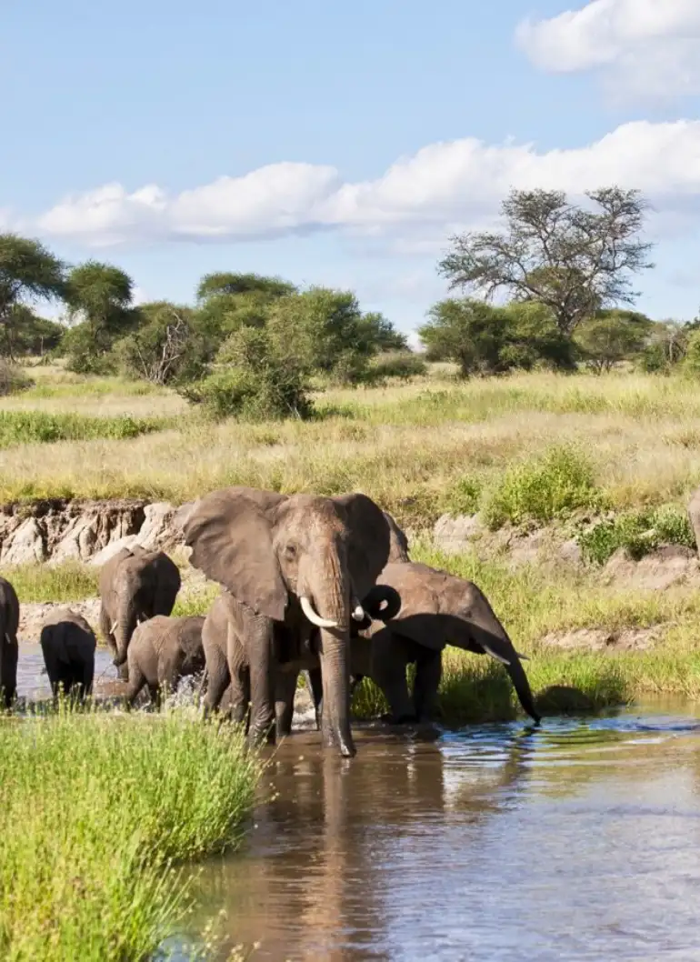 11-days-taste-of-kenya-and-tanzania-luxury-safari-6