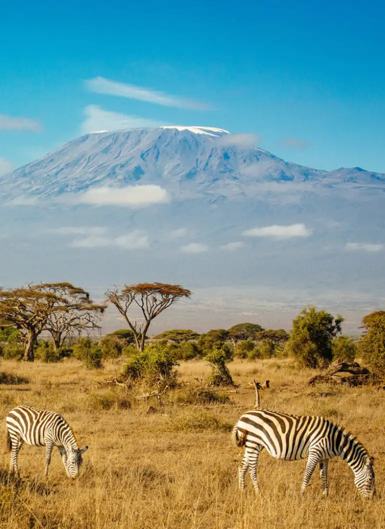 3-days-amboseli-fly-in-kenya-safari-3