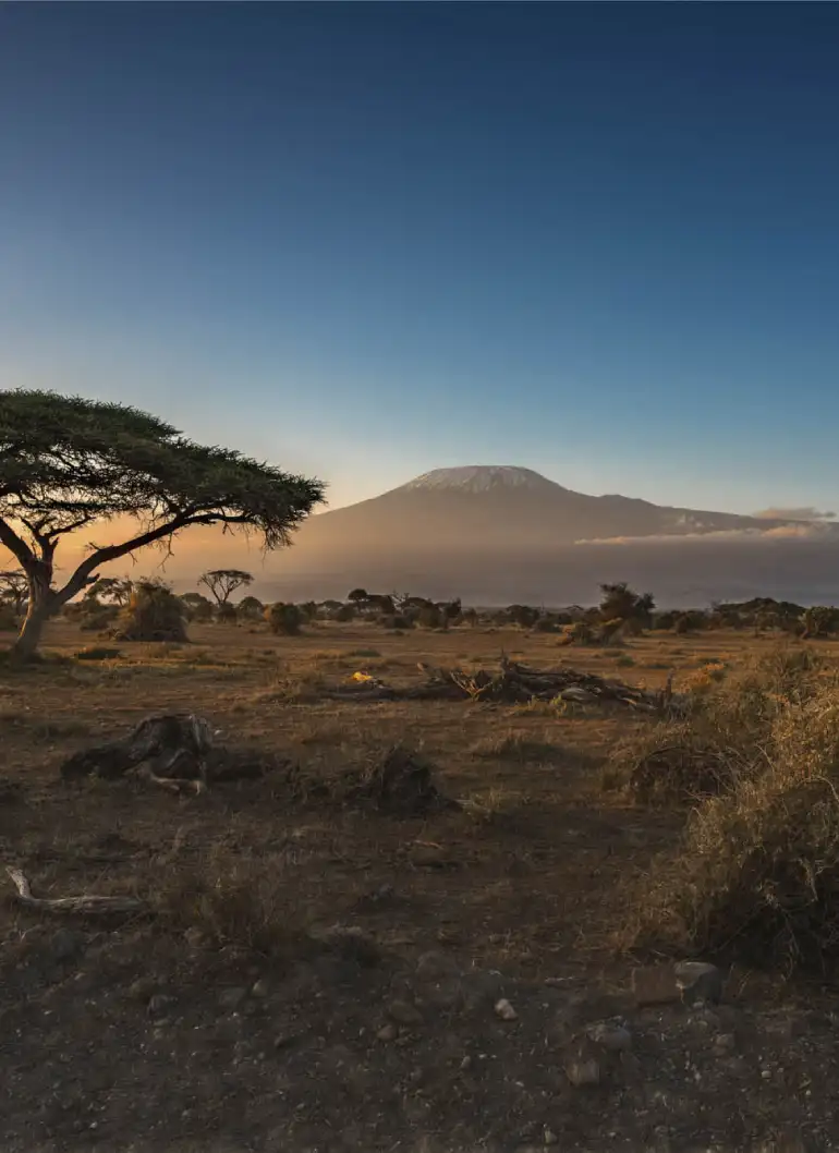 3-days-amboseli-fly-in-kenya-safari-5
