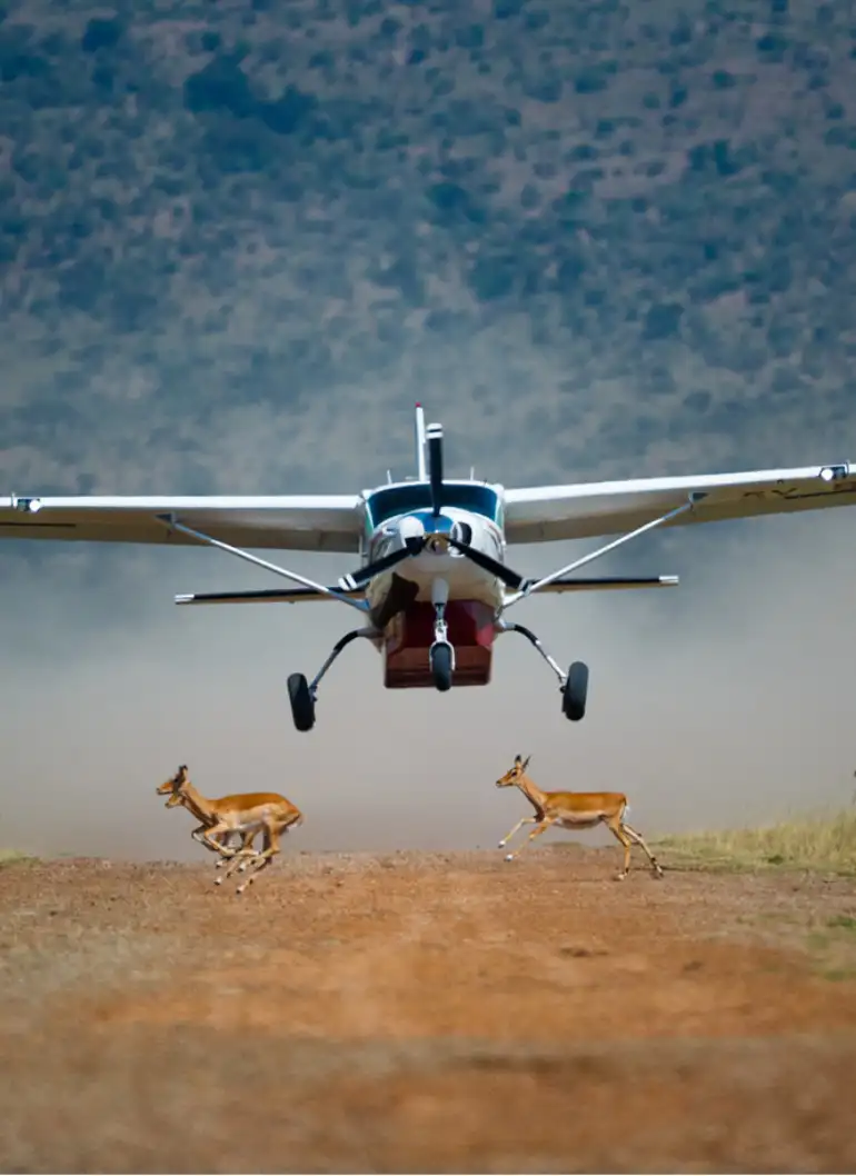 3-days-amboseli-fly-in-kenya-safari-6