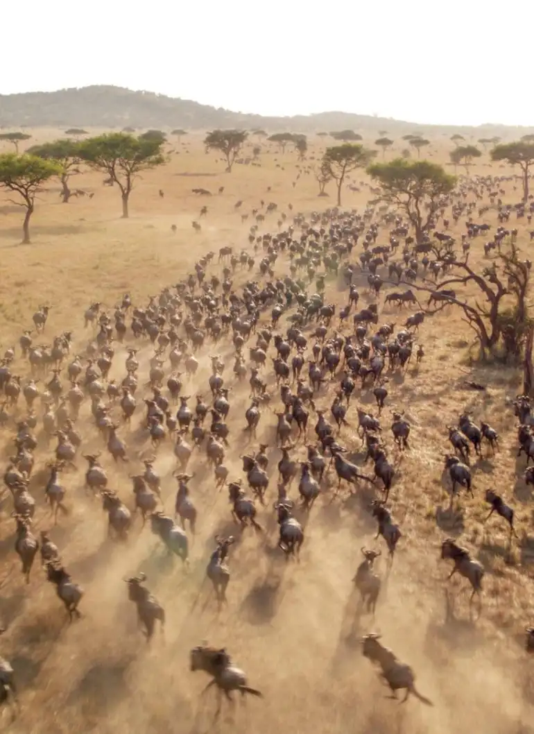 3-days-masai-mara-fly-in-safari-2