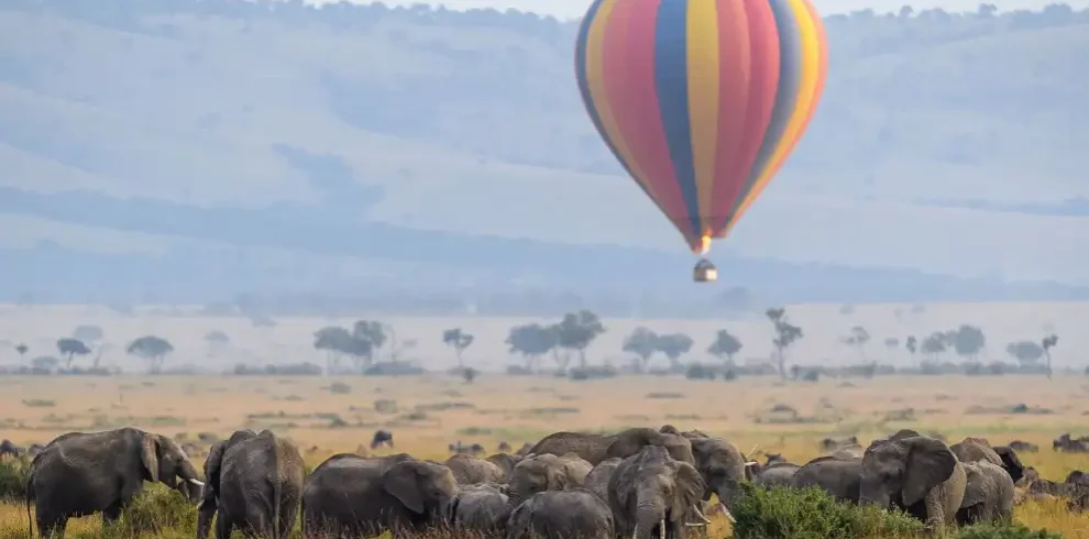 6 days amboseli masai mara fly in safari 1