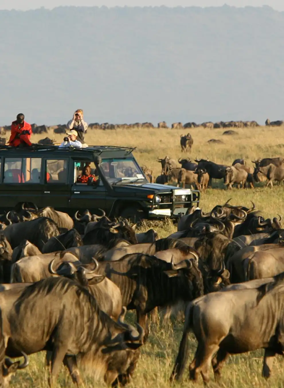 6-days-amboseli-masai-mara-fly-in-safari-2