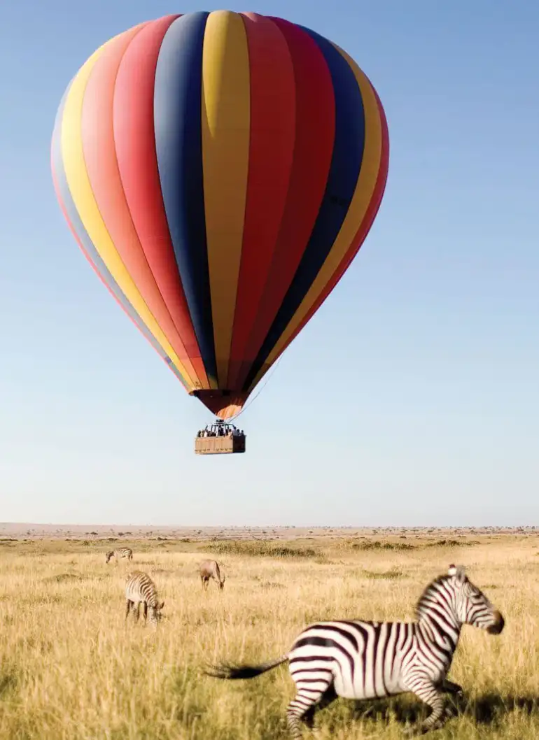 6-days-amboseli-masai-mara-fly-in-safari-4
