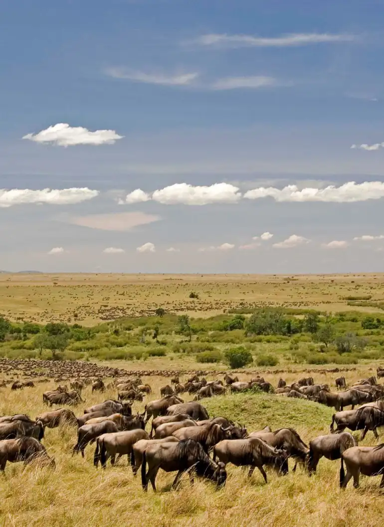 6-days-lake-and-bush-luxury-safari-4