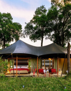 Angama Safari Camp