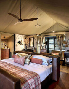 Bateleur Camp