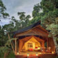 Elephant Pepper Camp