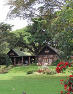 Loldia House