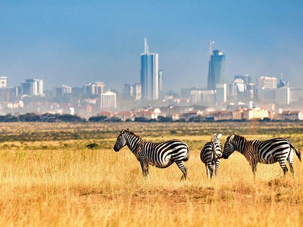 Nairobi National Park 700x450 1