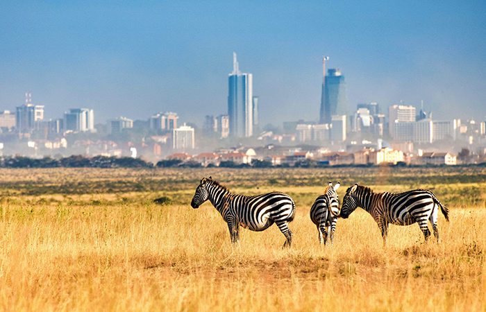 Nairobi National Park 700x450 1