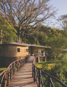 The Emakoko