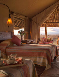 Tortilis Camp