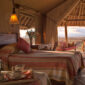 Tortilis Camp