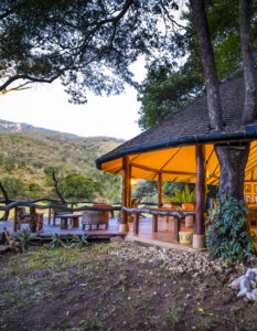kitich camp 1