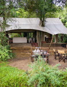 mara toto camp