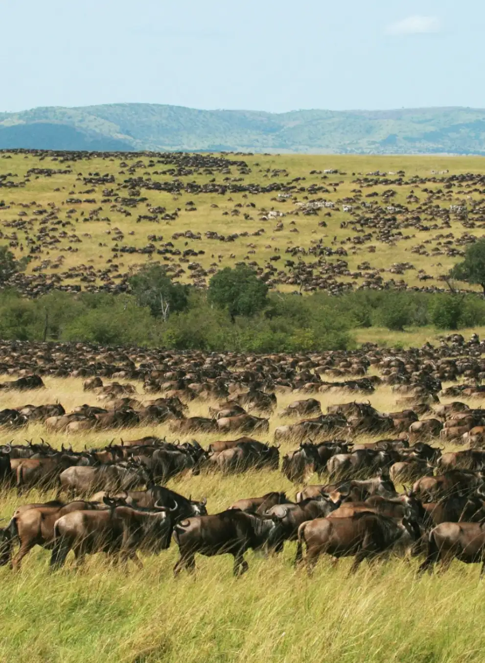 masai-mara-day-trip-2