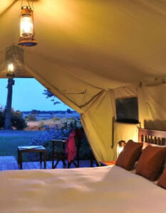morani wing sweetwaters