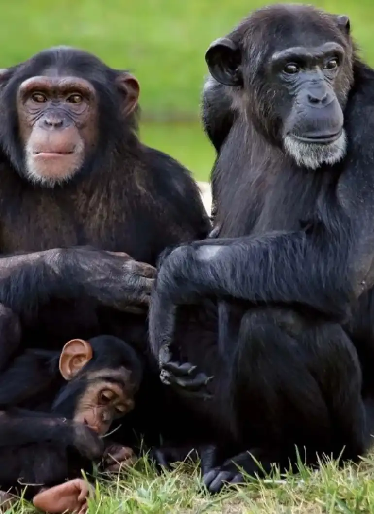 ol-pejeta-day-trip-4