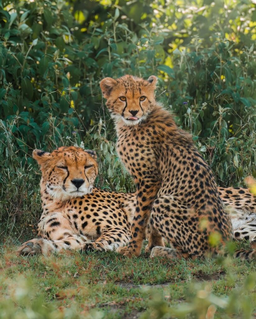 ongeri expeditions