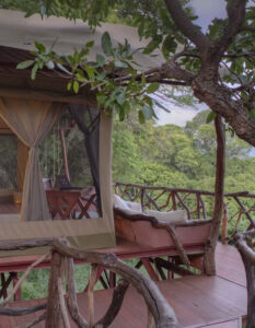 sarara treehouses 1