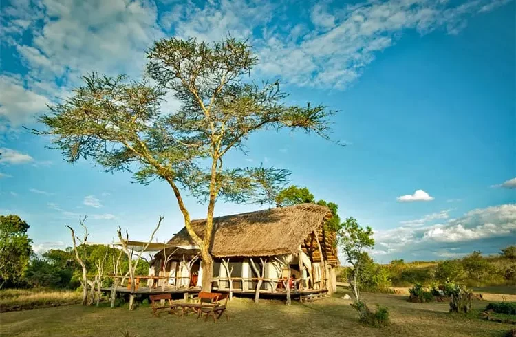 Luxury Fly-in Safari: Mugie Conservancy & Maasai Mara Escape