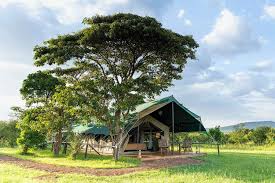Luxury Wilderness Escape: 4 Nights at Little Governors' Camp