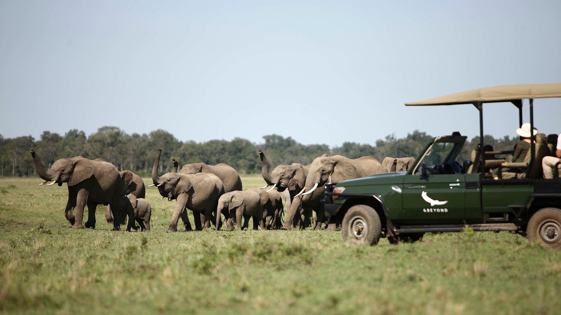 Africa-Kenya-Masai-Mara-Kichwa-Experience-Game-Drive-elephant-2014-254-Website-1920×1080-fill-gravityauto-Q_AutoBest