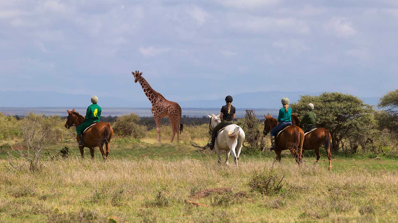 Laikipia 2