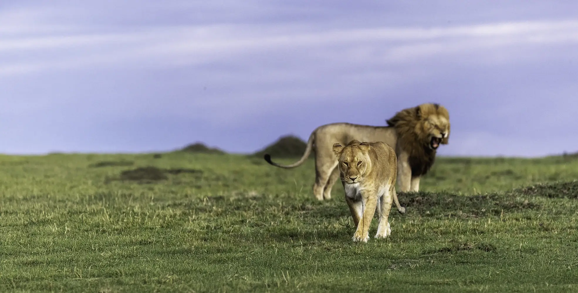 Ongeri Expeditions 1 1