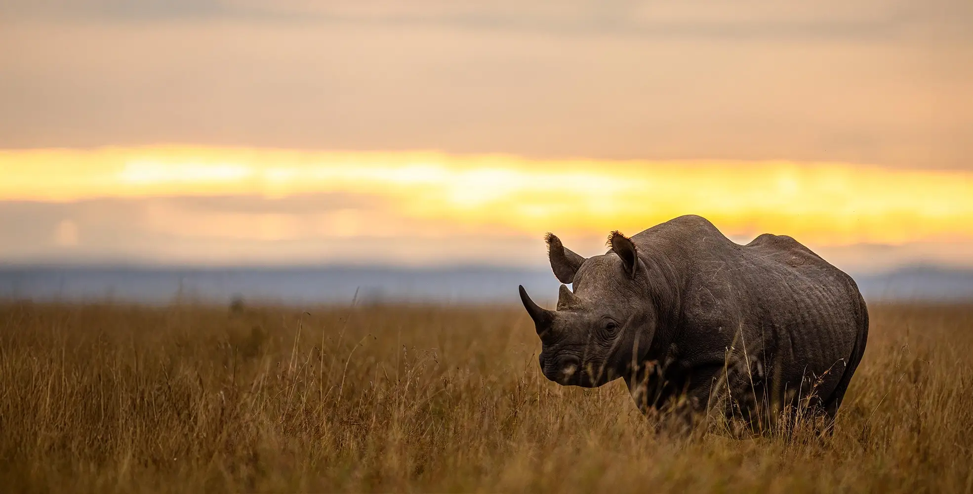 Ongeri-Expeditions-website-3