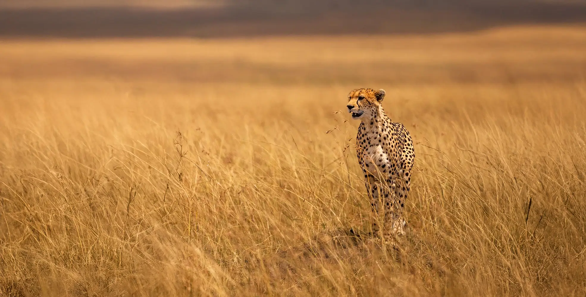 Ongeri-Expeditions-website-6