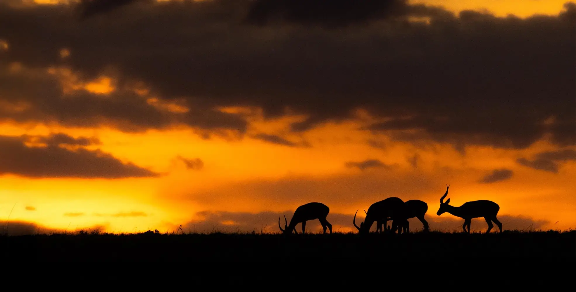 Ongeri-Expeditions-website-8